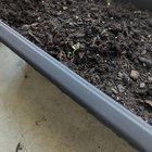 Haven’t had space to grow much these past couple years but I’m still excited to start my first balcony garden! – Reddit Post