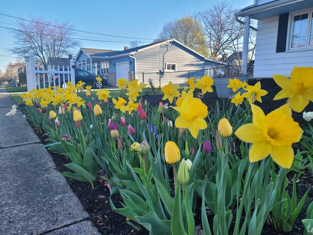 Update from zone 6b. We’re off to a good start. – Reddit Post