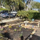 Front yard slowly coming together – Reddit Post