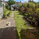 Nice day today to cut the grass & tend to some trees.