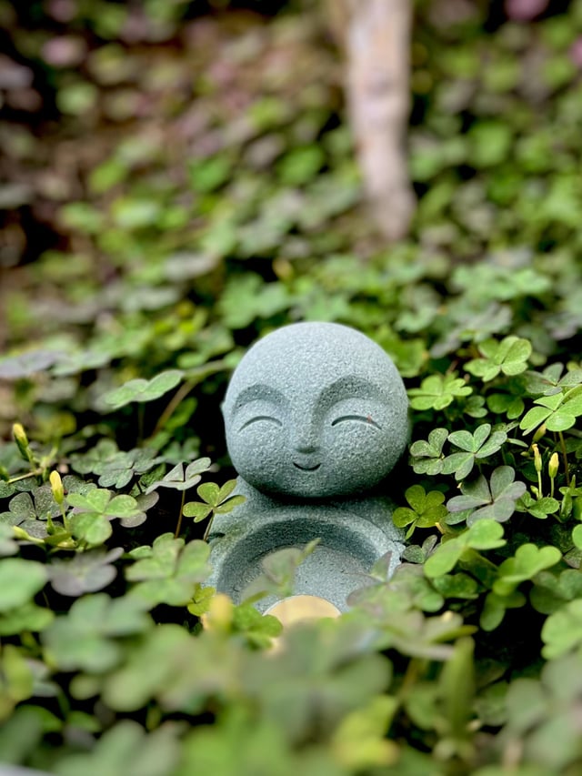 My garden Buddha chillin in his clover forest – Reddit Post