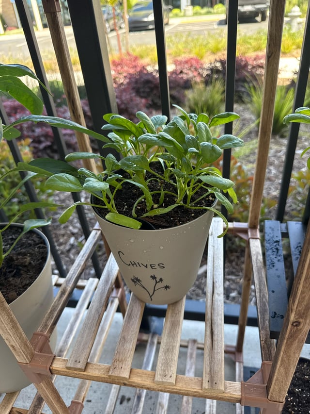 If chives, why not chives shaped? – Reddit Post