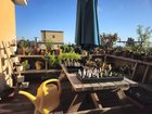 Check out this past year’s progress on my rooftop garden! – Reddit Post