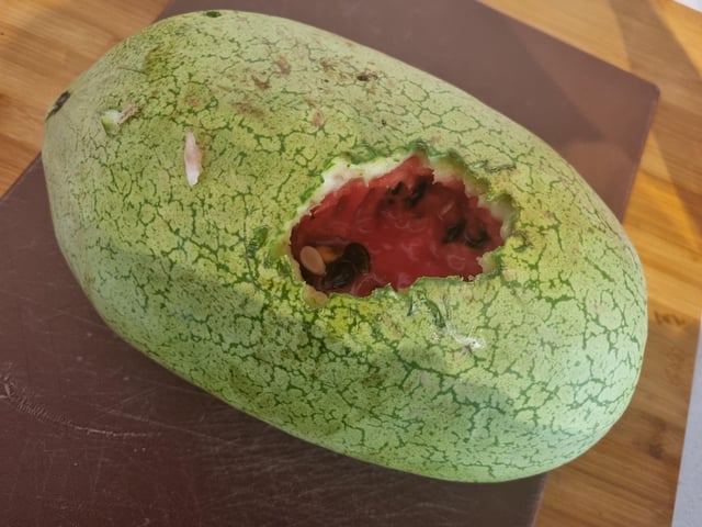 Noooooooo!