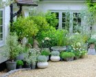 Courtyard… Staying with the white aesthetic