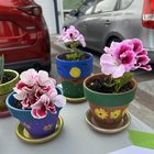 Happy Earth Day!!! My annual painted pot and plant giveaway is all set up! – Reddit Post