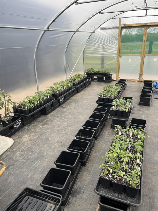 Potting on work in progress