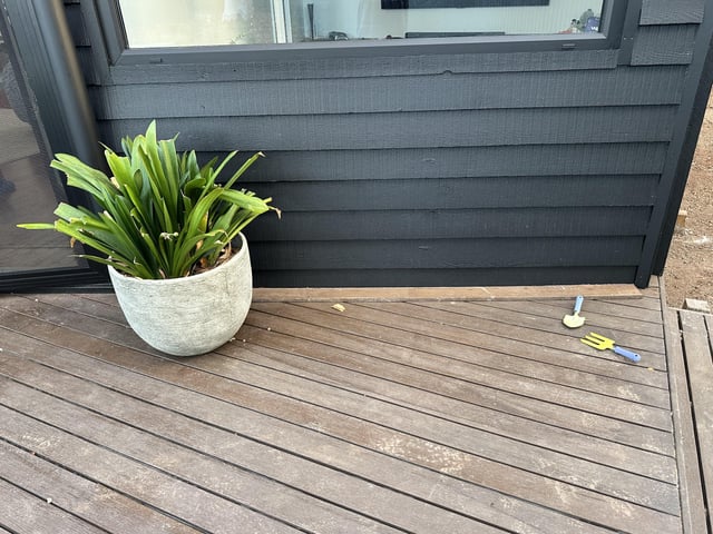 What can I plant here?
