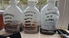 I spent today planting & making seeding cloches from 5ltr water bottles.