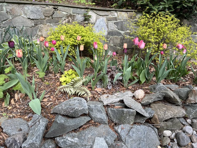 Looking lovely this morning – Reddit Post