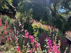 Slippery Slope Garden – Reddit Post