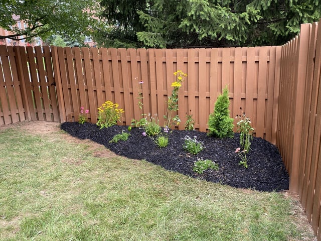 First year planting – I started this garden last summer with hopes of making it a cottage garden. Everything has come back this spring and is growing! Advice for how to fill it in? Should I plant 2s and 3s of the same plants? – Reddit Post