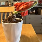 Heard you like oddly shaped plants. – Reddit Post