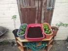 It’s not big and it’s not fancy but it’s mine and it’s functioning.