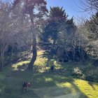 I love my garden