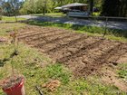 First time gardening progress update – Reddit Post