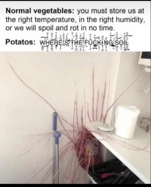 Wife sent me this – Reddit Post
