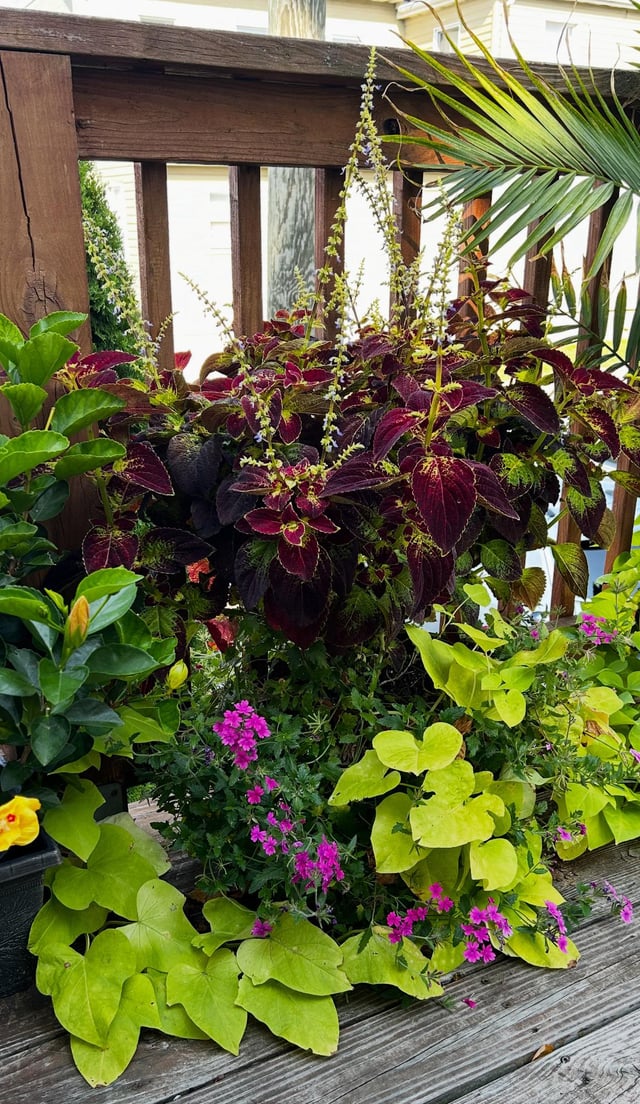 What is the pink flower at the bottom? – Reddit Post