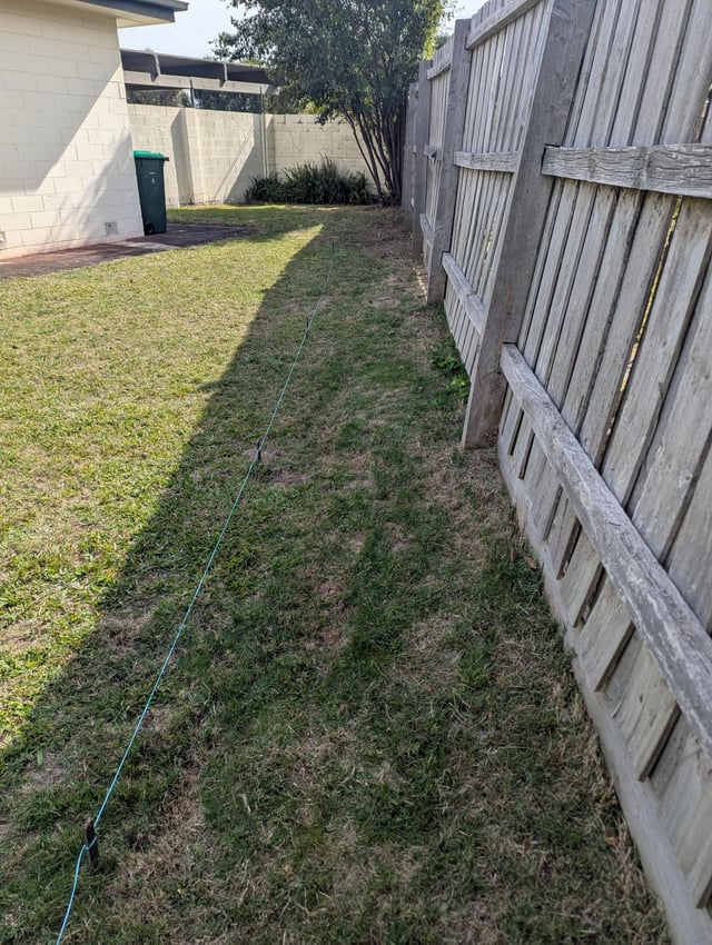 Garden Bed for Lilly Pillies