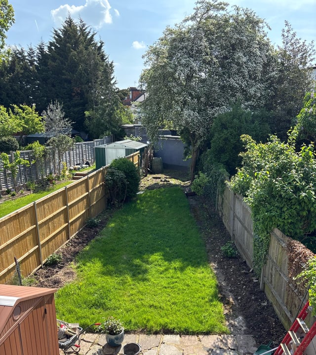 newbie garden help!