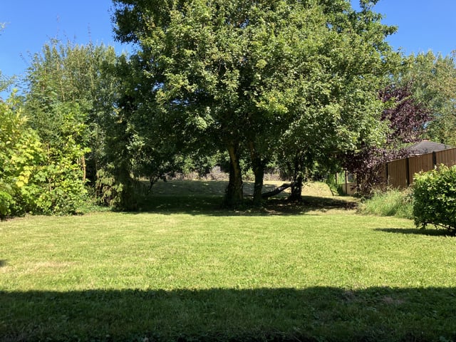 Nothing special, but brings me peace – Reddit Post
