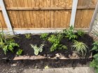 Garden on a roll shady border – any tips on what to do next (wood barrier to be laid)?