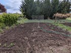 I’m so happy with how my garden is turning out! – Reddit Post