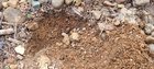 Gardening Newbie, is this sand or soil?