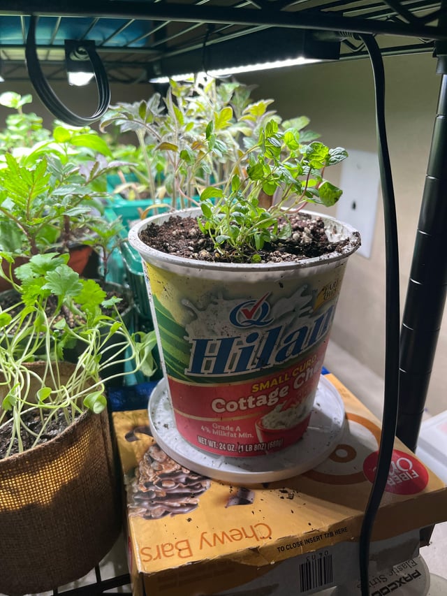 Upcycled containers – Reddit Post
