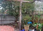 Ideas for landscaping/planting in this space?