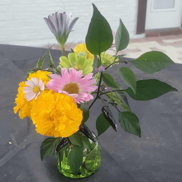 All from my garden – Reddit Post