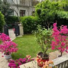 Growing with plants not only creates a green garden, but also brings peace and satisfaction to the soul – Reddit Post