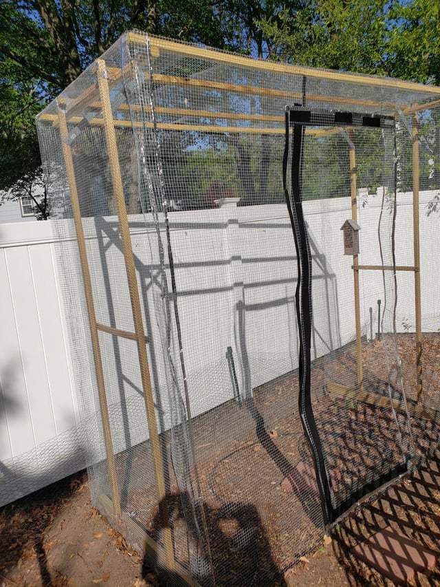 how to keep the squirrels out of your corn – Reddit Post