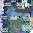 In over my head with this yard – Reddit Post