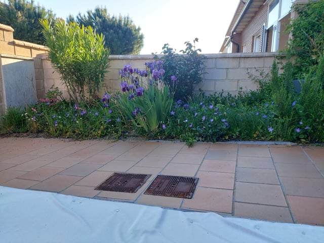 My Chaos Garden has really come into its own. – Reddit Post