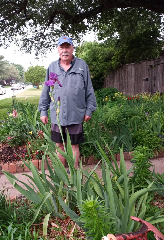 This year’s clear tallest Iris winner. – Reddit Post