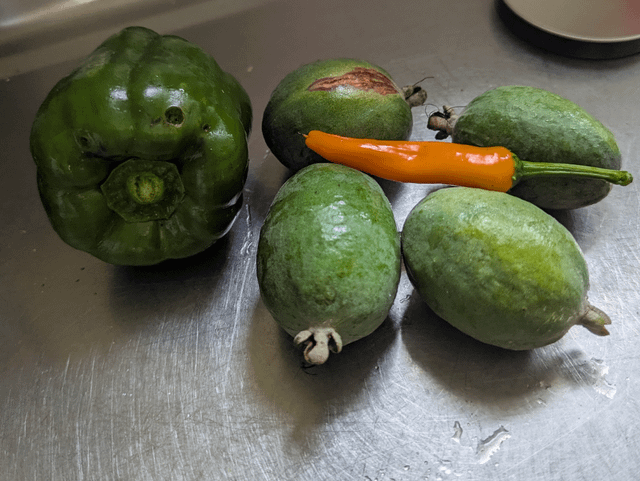 The harvest continues – Reddit Post