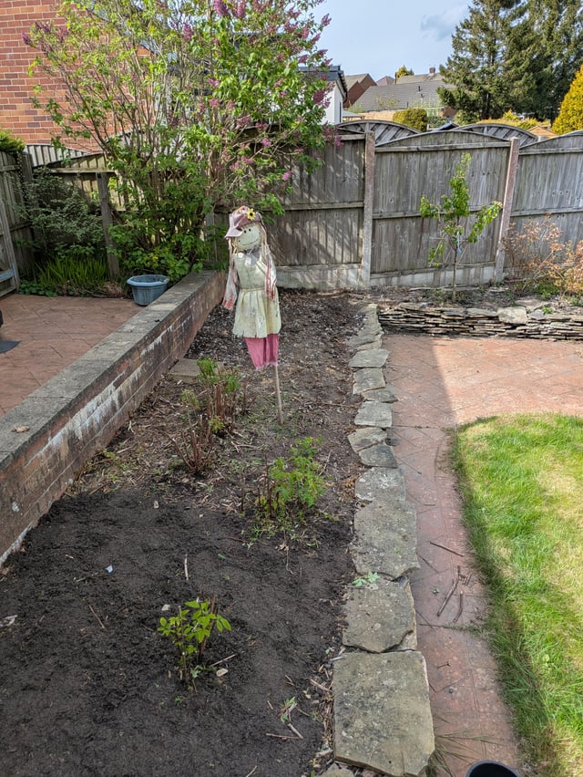 I want to plant something pretty that will fill this soily area that normally just gets full of weeds.