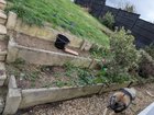 Help preparing huge raised beds