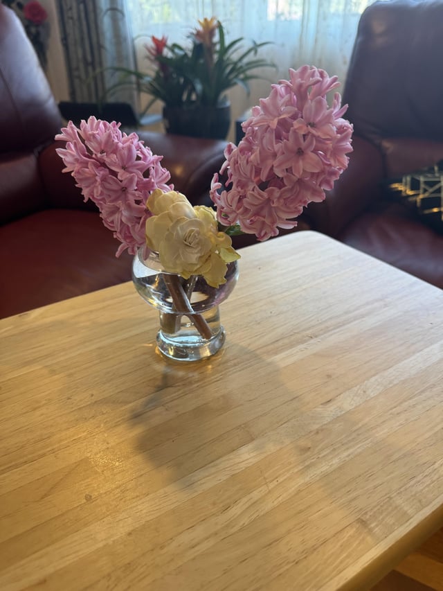 First fresh cuts of the season – Reddit Post