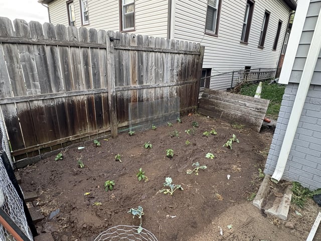 Finally got my garden going! – Reddit Post
