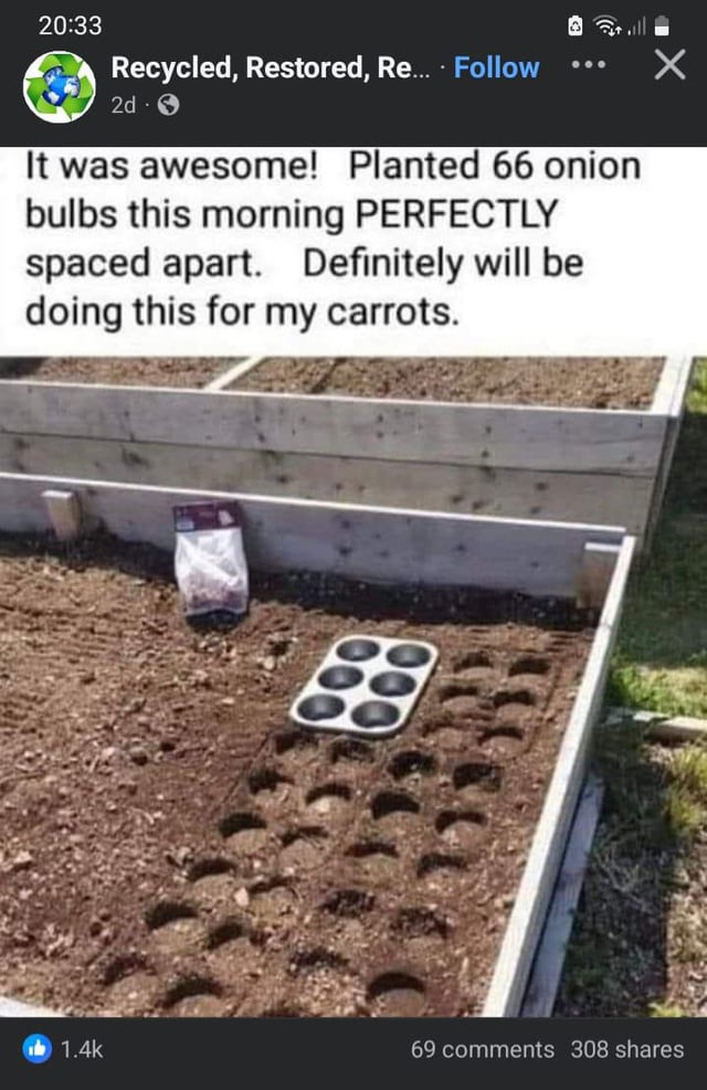 Anyone?