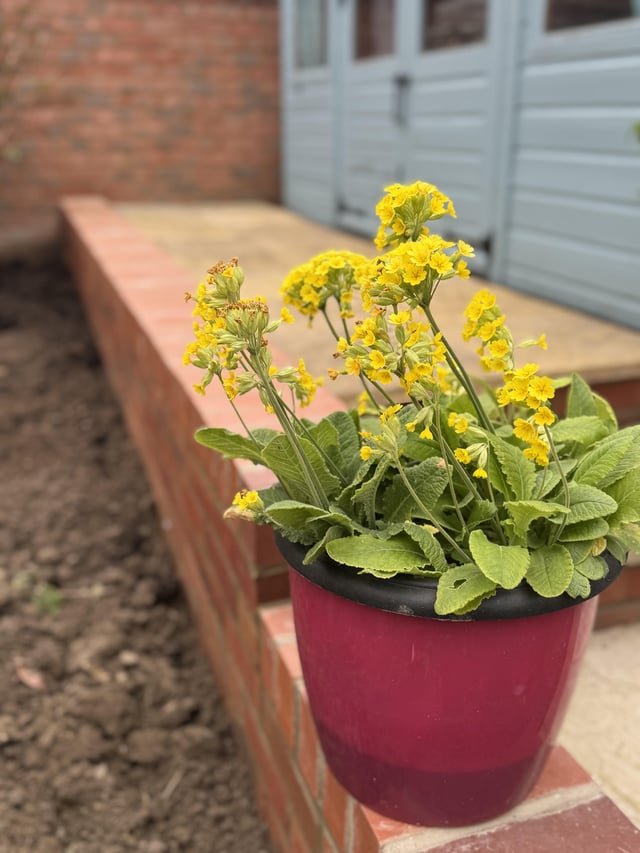 How do you garden when you aren’t as capable….thoughts ??