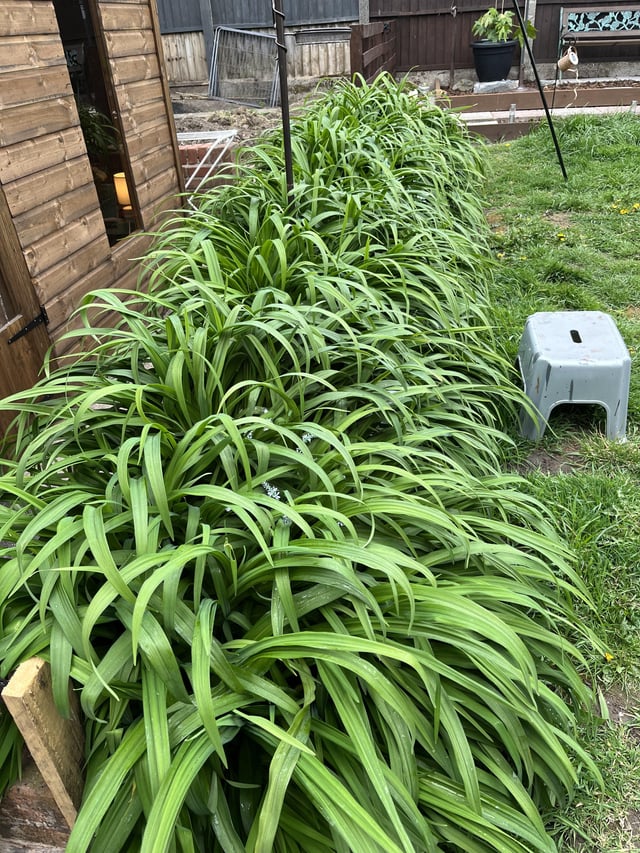 Any ideas?