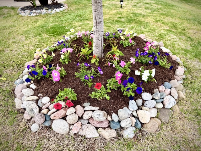 Planted my new babies before the rainy weekend. Coleus, Celosia and Petunias. Flowers make me happy. – Reddit Post