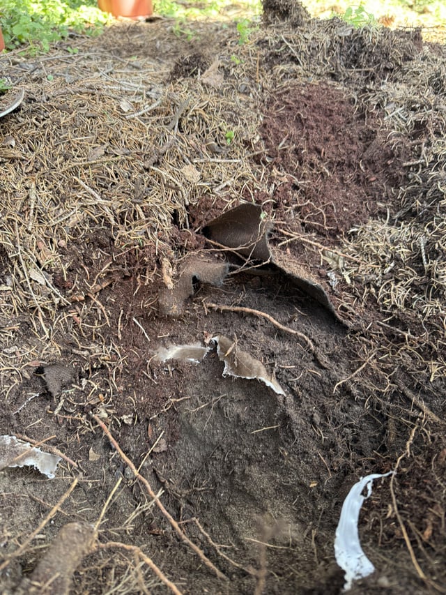 Previous home owners have cursed me. – Reddit Post