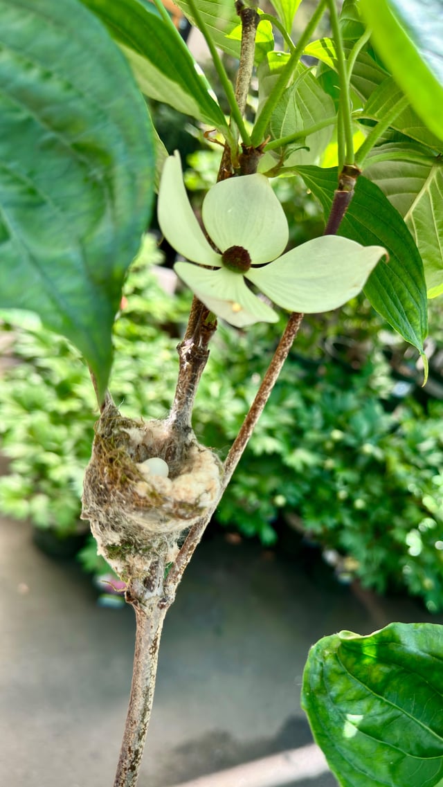 Saw this at the nursery today. – Reddit Post