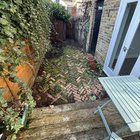 2 month garden progress