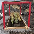 White pineapple garden finished – Reddit Post