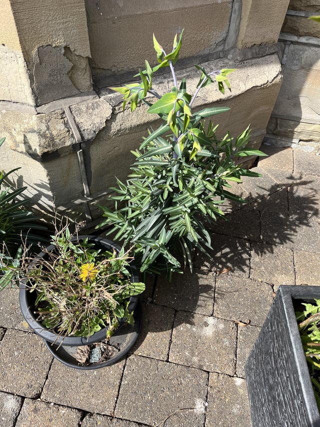 Any idea what this is please?